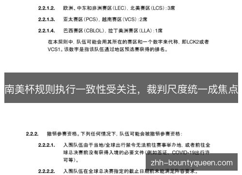 南美杯规则执行一致性受关注,裁判尺度统一成焦点 南美杯规则执行一致性受关注,裁判尺度统一成焦点