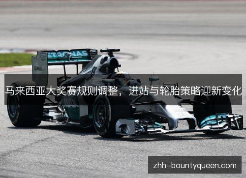 马来西亚大奖赛规则调整,进站与轮胎策略迎新变化 马来西亚大奖赛规则调整,进站与轮胎策略迎新变化
